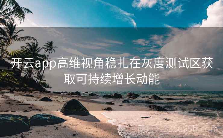 开云app高维视角稳扎在灰度测试区获取可持续增长动能